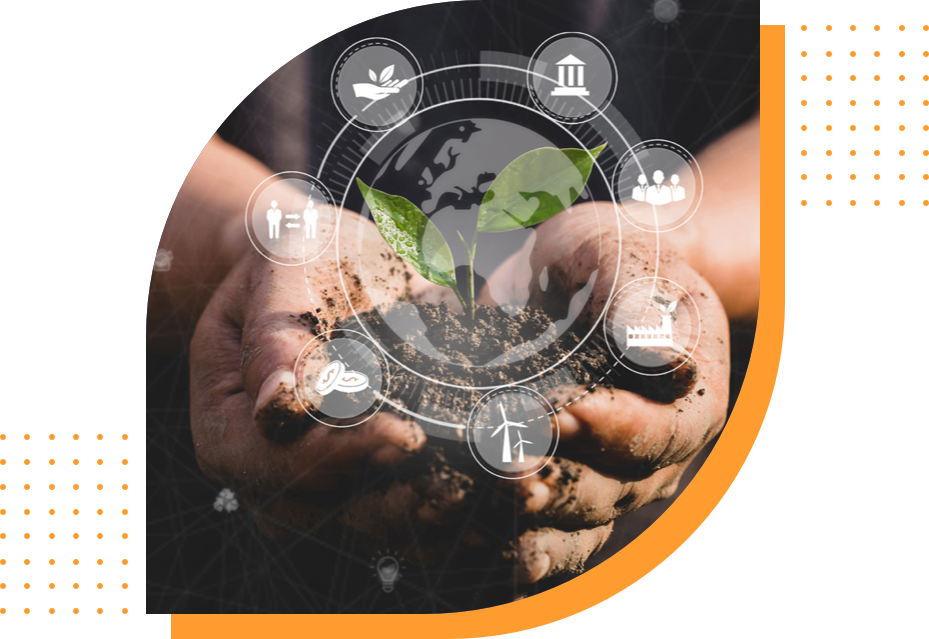 illustration of hands holding a handful of soil with a small germinated plant and icons of the life cycle of a product overlaid