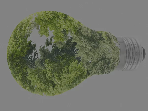 Illustration of a forest inside an electric bulb